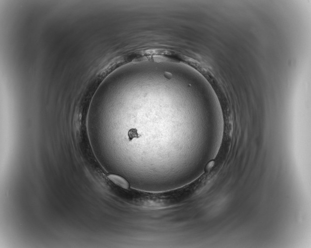 X0000085730263200703161012