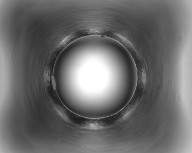 X0000085730264200703161012