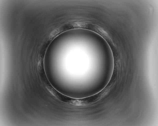 X0000085730265200703161012