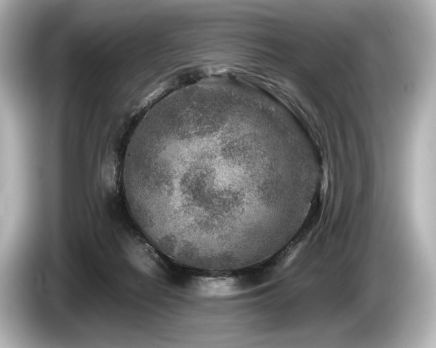 X0000085730266200703161012