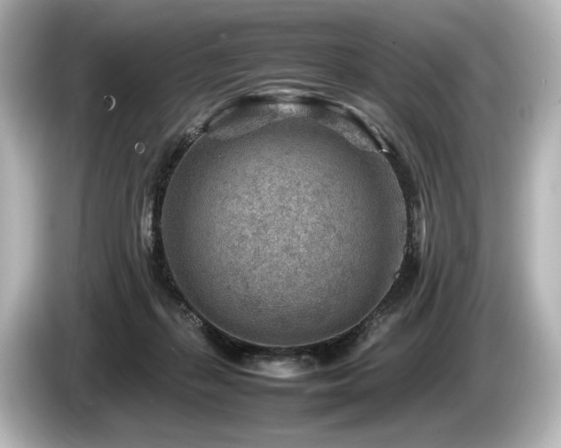 X0000085730267200703161012