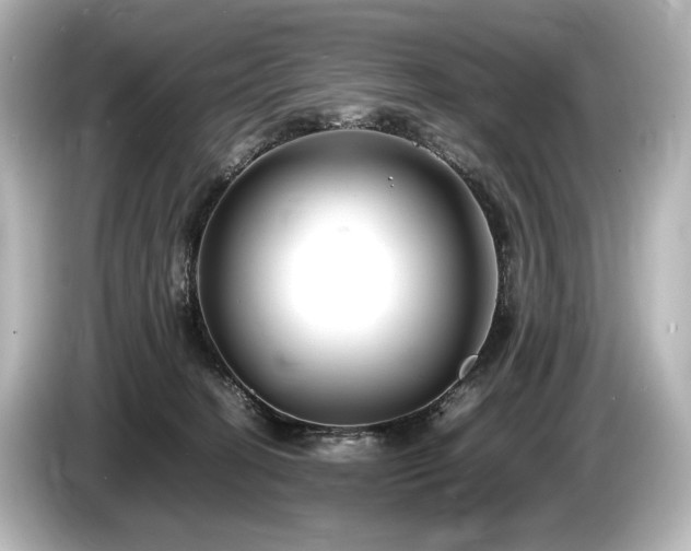 X0000085730274200703161012