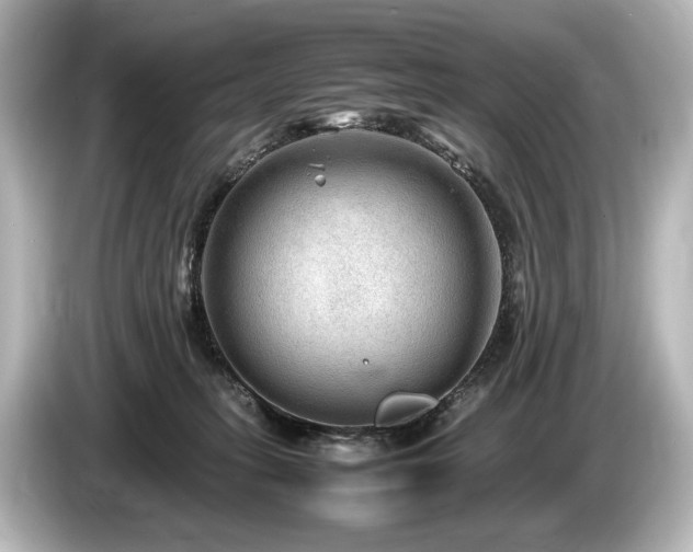 X0000085730275200703161012