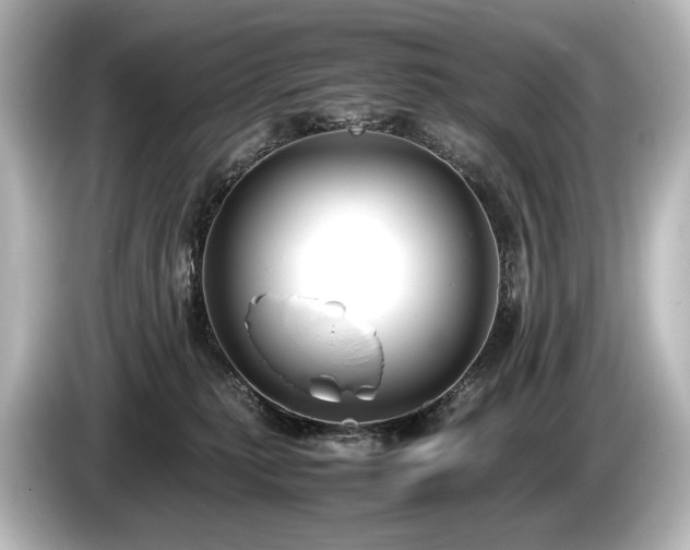 X0000085730279200703161012