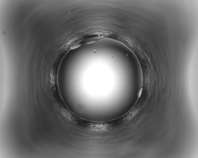 X0000085730282200703161012