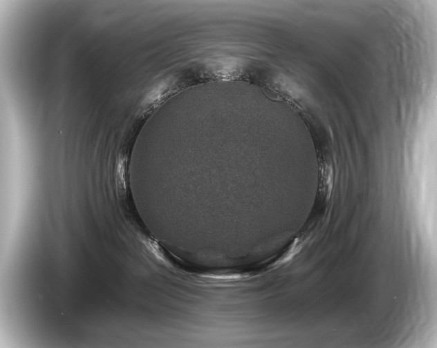 X0000085730286200703161012