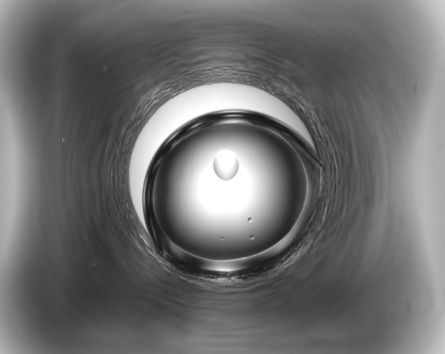 X0000085730288200703161012