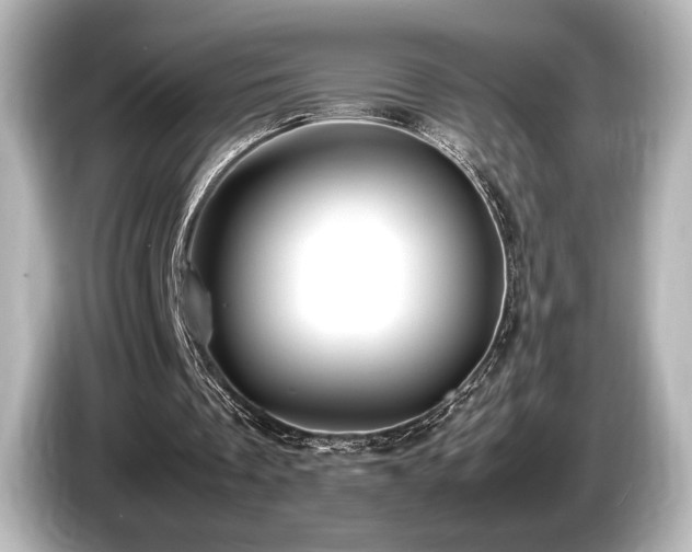 X0000085730289200703161012