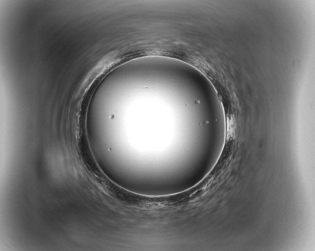 X0000085730291200703161012