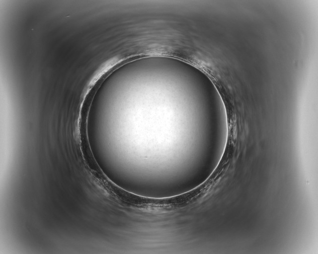 X0000085730292200703161012