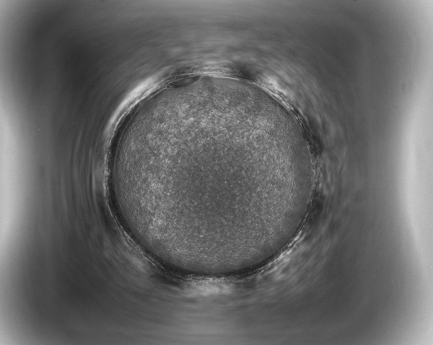 X0000085730293200703161012