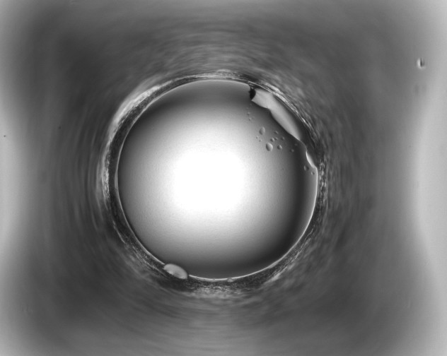 X0000085730294200703161012