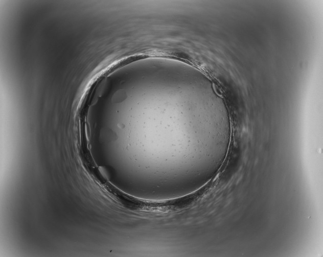 X0000085730295200703161012