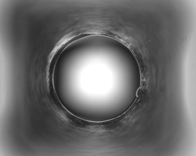 X0000085730296200703161012