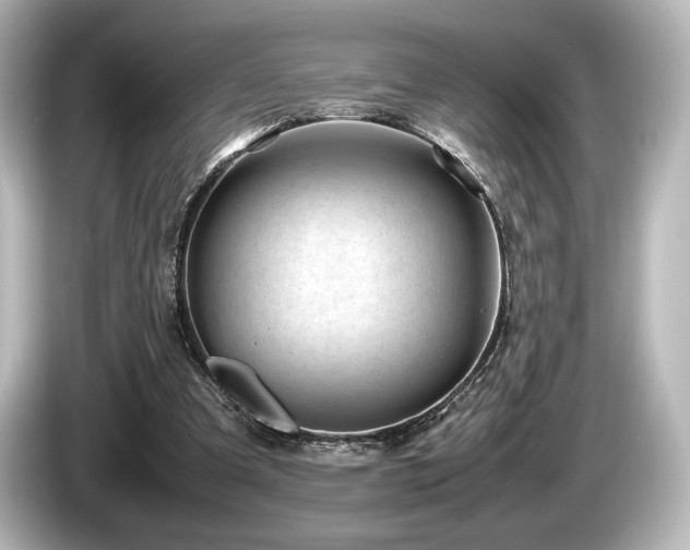 X0000085730297200703161012