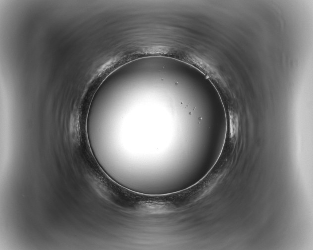 X0000085730300200703161011