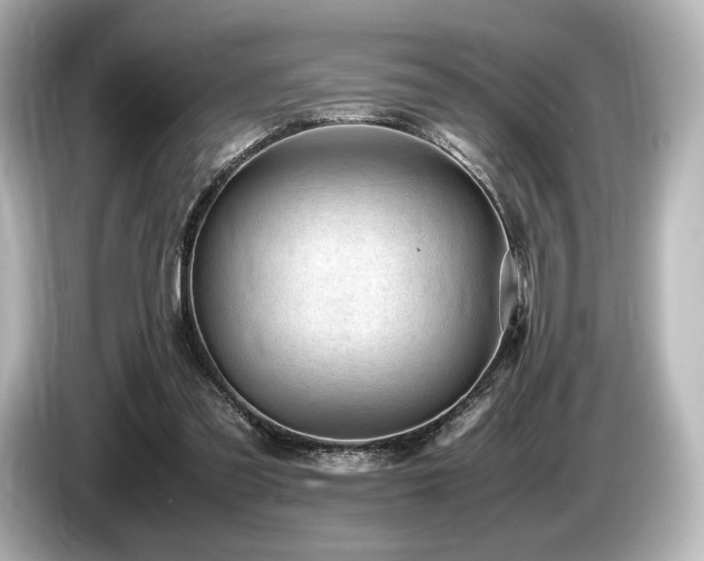 X0000085730301200703161011