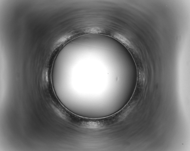 X0000085730302200703161011