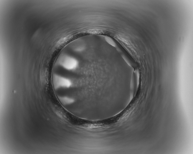 X0000085730303200703161011