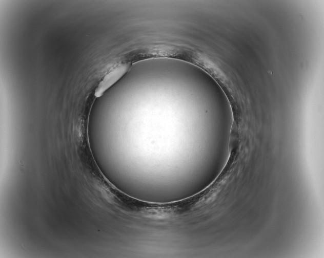 X0000085730305200703161011