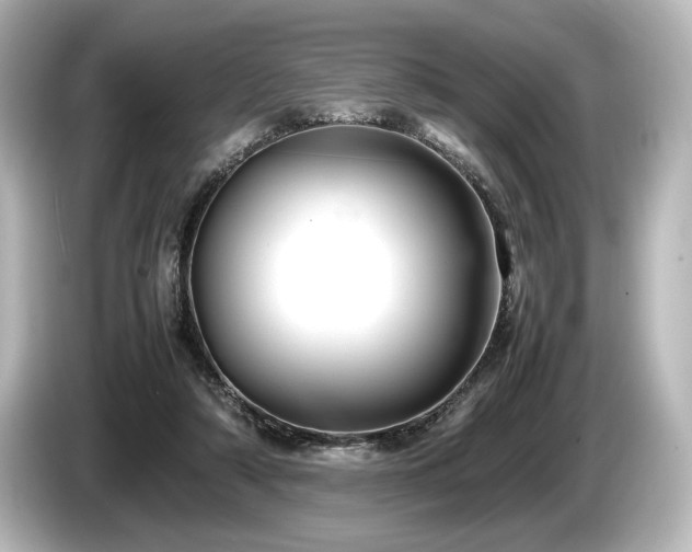 X0000085730306200703161011