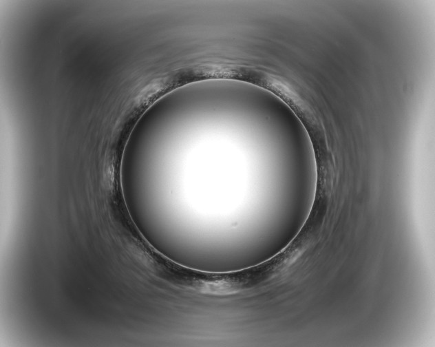 X0000085730309200703161011