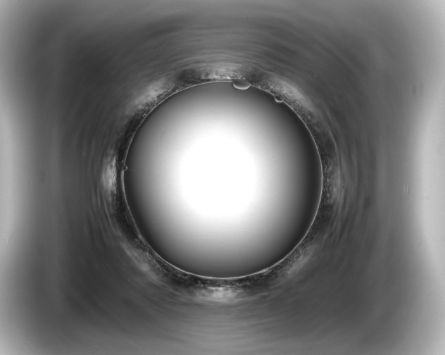 X0000085730310200703161011