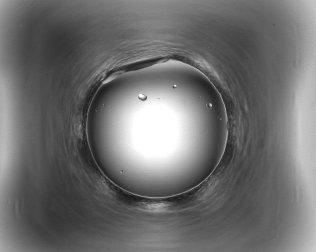 X0000085730313200703161011