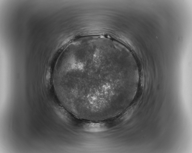 X0000085730314200703161011