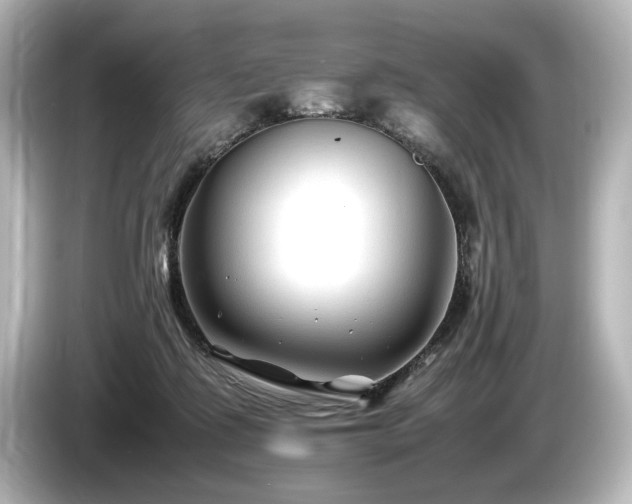 X0000085730315200703161011