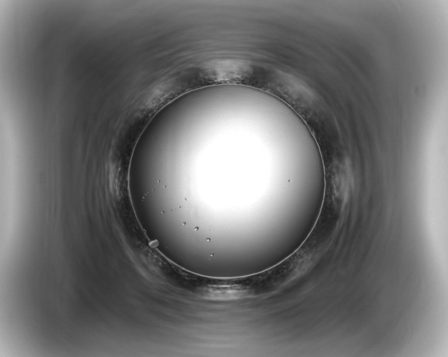 X0000085730316200703161011