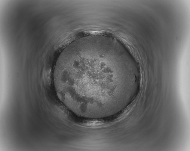 X0000085730319200703161011