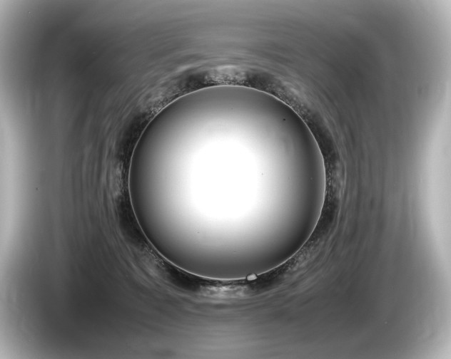 X0000085730323200703161011