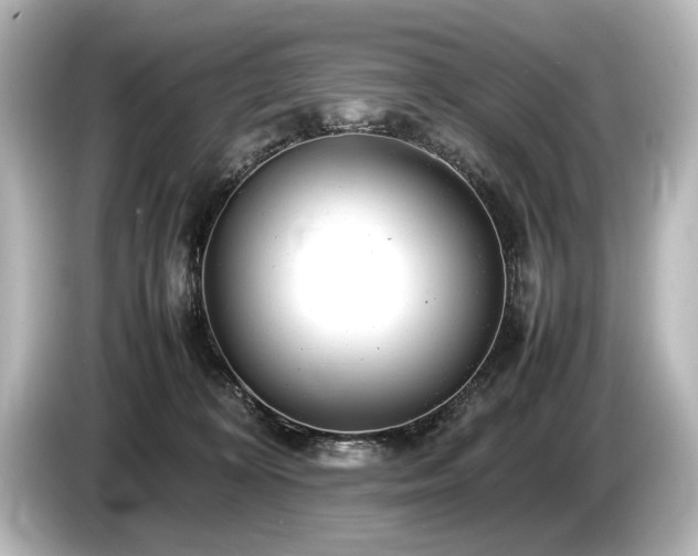 X0000085730324200703161011