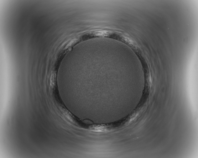 X0000085730325200703161011