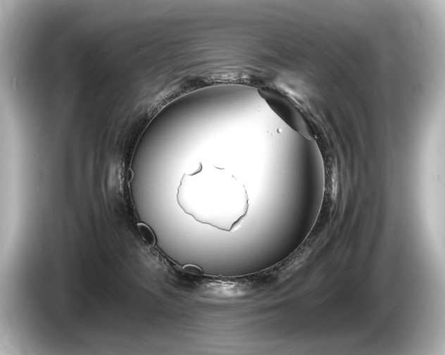 X0000085730326200703161011