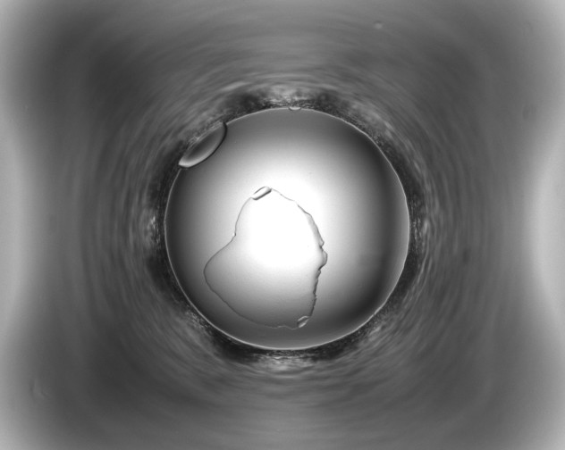 X0000085730327200703161011