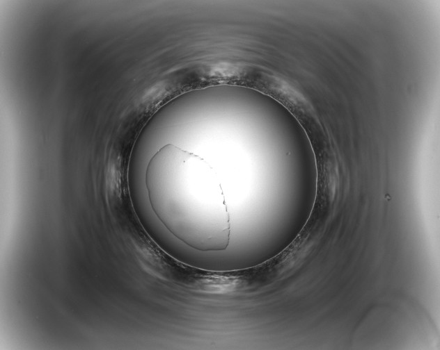 X0000085730328200703161011