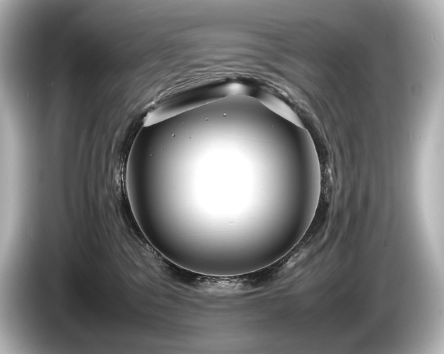 X0000085730329200703161011