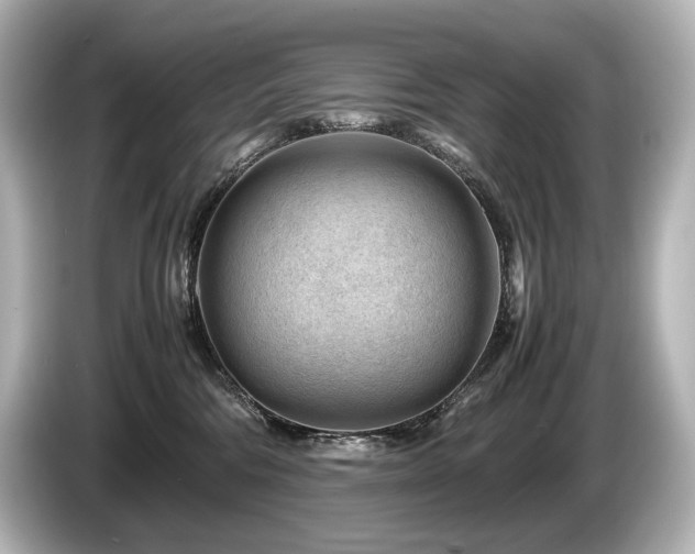 X0000085730330200703161011