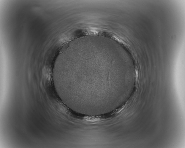 X0000085730331200703161011