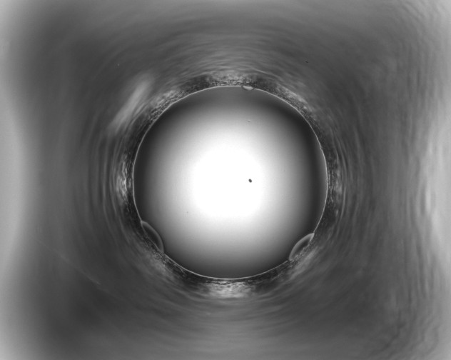 X0000085730334200703161011