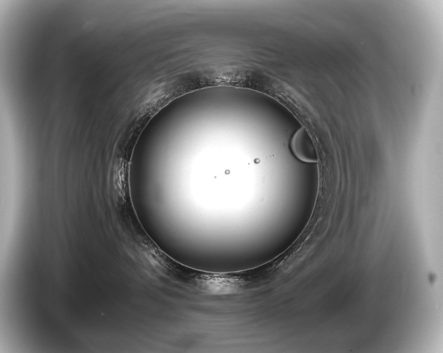 X0000085730336200703161011