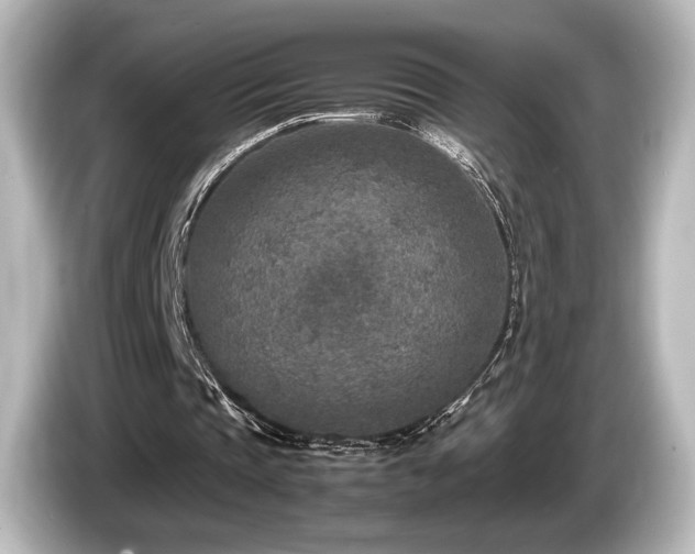 X0000085730337200703161010