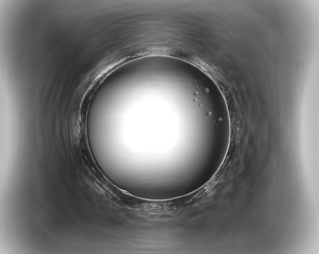 X0000085730338200703161010