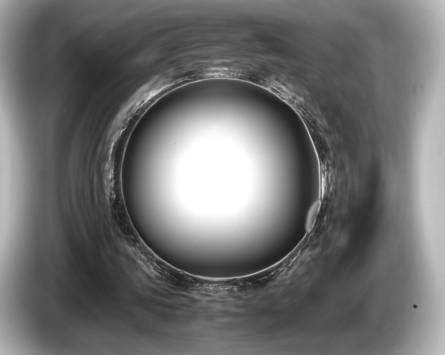 X0000085730339200703161010