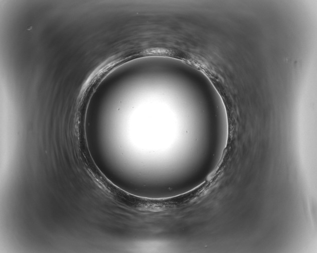 X0000085730341200703161010