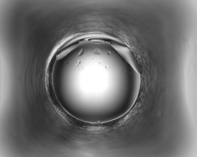 X0000085730342200703161010