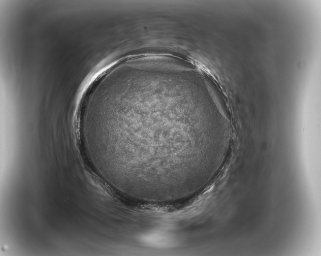 X0000085730343200703161010