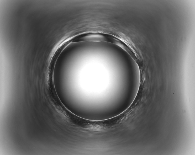 X0000085730344200703161010